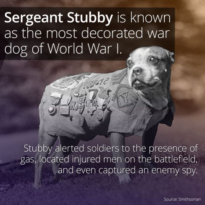 SergeantStubby_1918