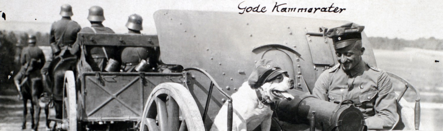 Kammerat-hund_header