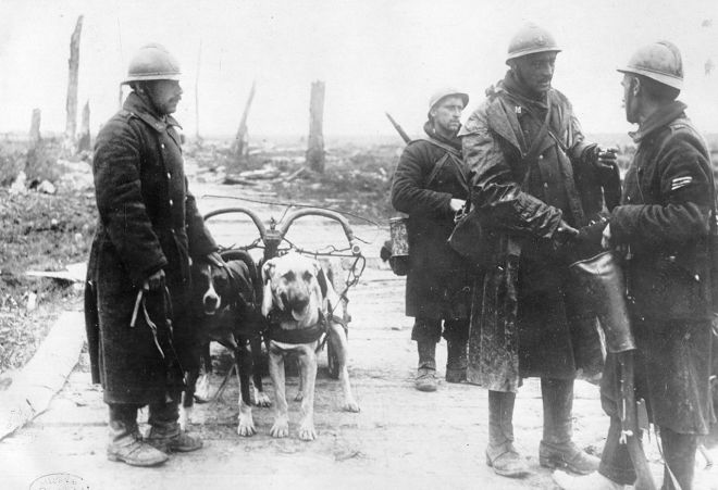 46106006-53DA-425E-AAD3-661B42735410